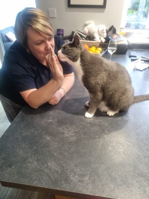Cat and behaviourist training a nose touch